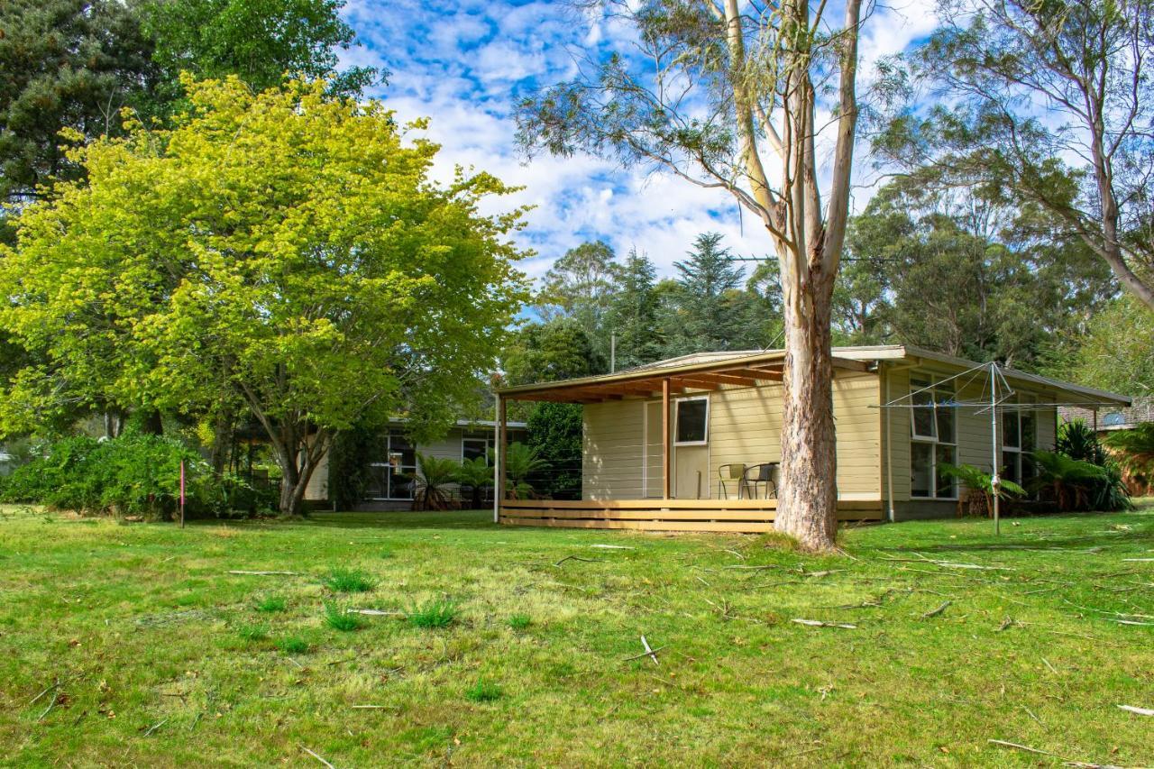 Russell Falls Holiday Cottages National Park Exteriör bild