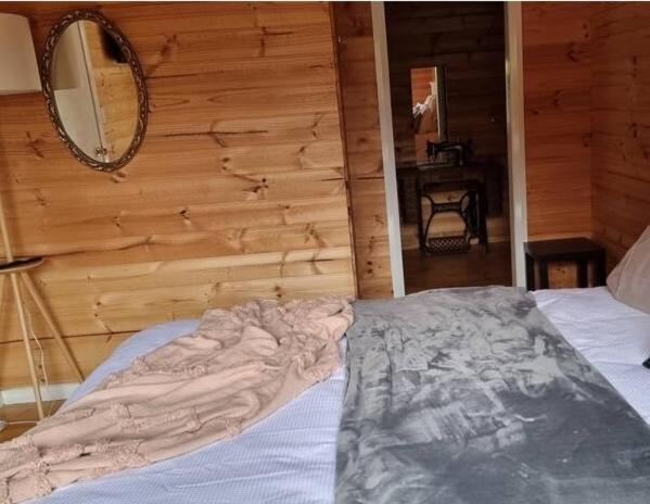 Russell Falls Holiday Cottages National Park Rum bild