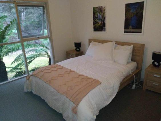 Russell Falls Holiday Cottages National Park Exteriör bild
