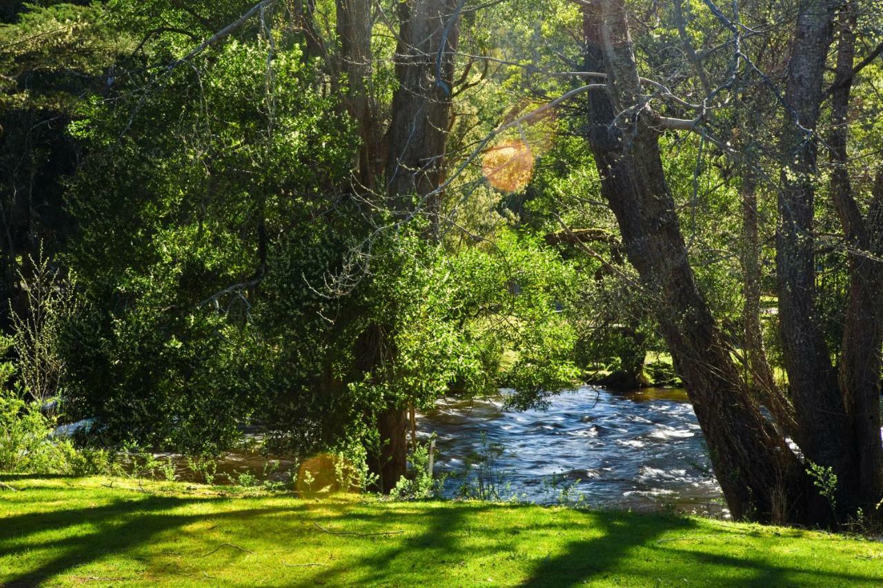 Russell Falls Holiday Cottages National Park Exteriör bild