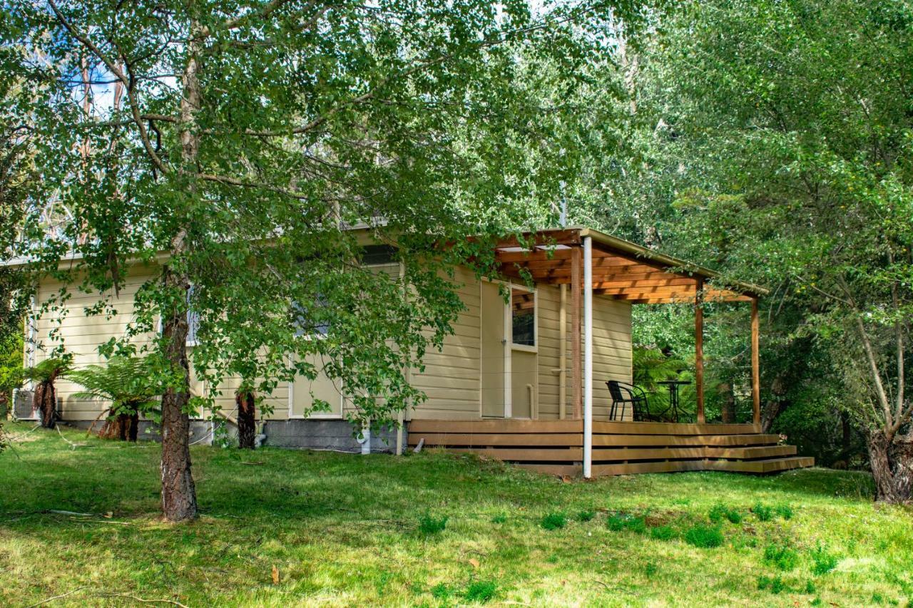Russell Falls Holiday Cottages National Park Exteriör bild