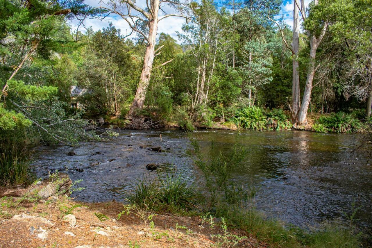 Russell Falls Holiday Cottages National Park Exteriör bild
