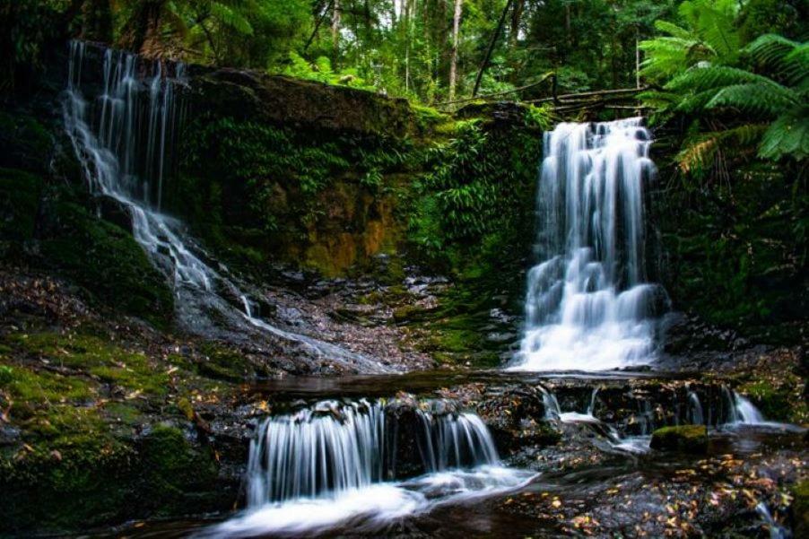 Russell Falls Holiday Cottages National Park Exteriör bild