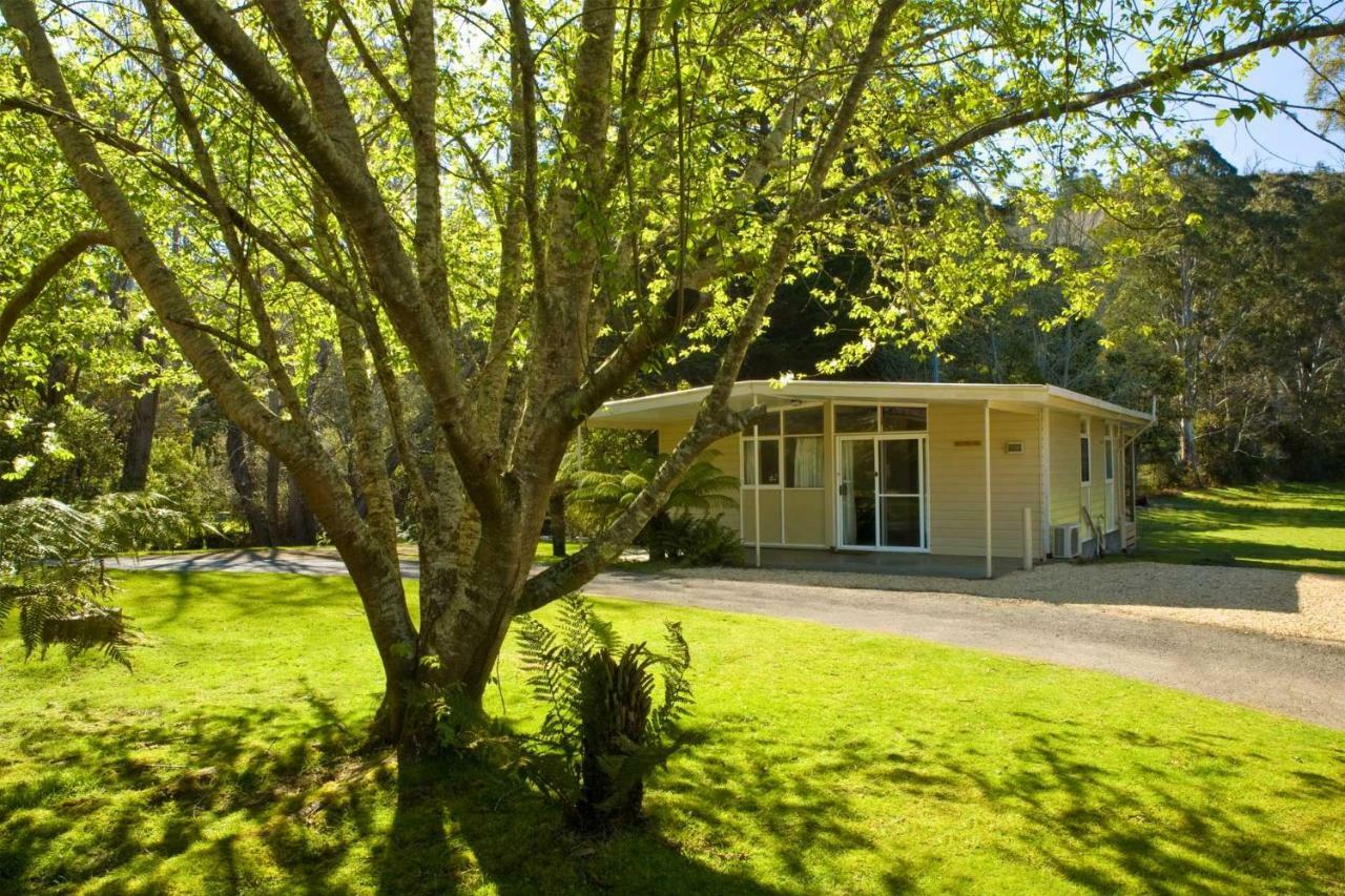 Russell Falls Holiday Cottages National Park Exteriör bild